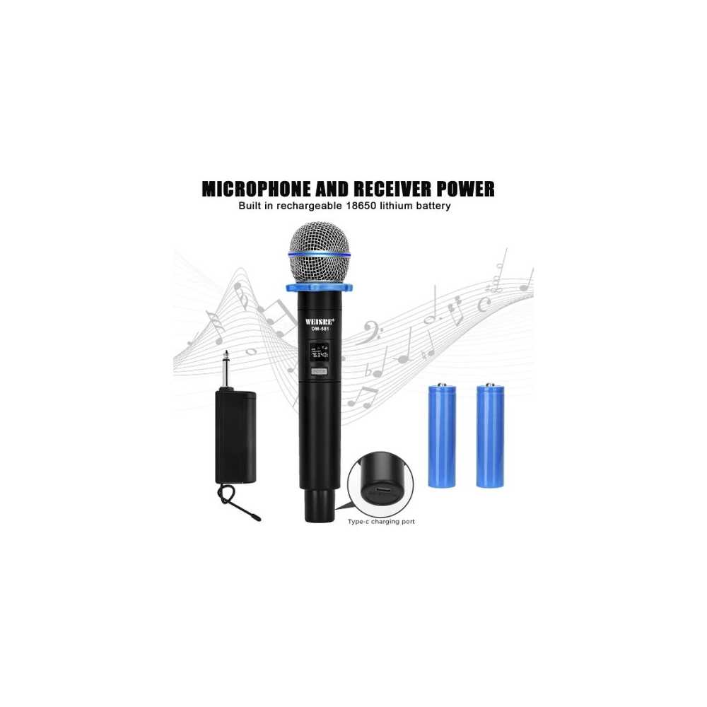 Επαγγελματικό ασύρματο μικρόφωνο χειρός για Stage Karaoke, Ηχογράφηση φωνής DM-581